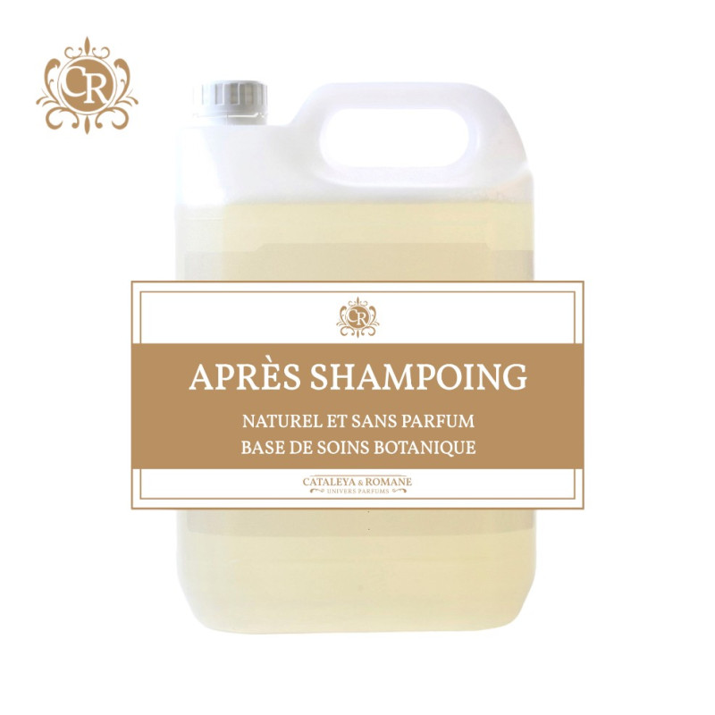 Après shampoing revitalisant PRO