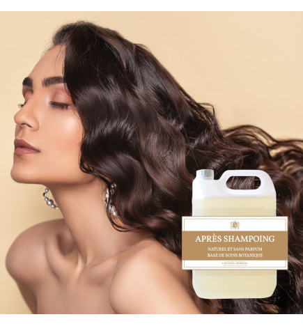 Après shampoing revitalisant PRO