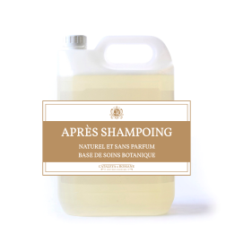 Après shampoing revitalisant professionnel