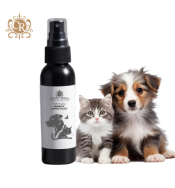 Doggy Cat blue - Parfum pour animaux