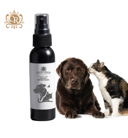 Doggy Cat Chuba - Parfum pour animaux