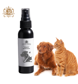 Doggy Cat Girl - Parfum pour animaux