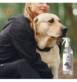 Doggy Cat Gold - Spray désinfectant pour animaux