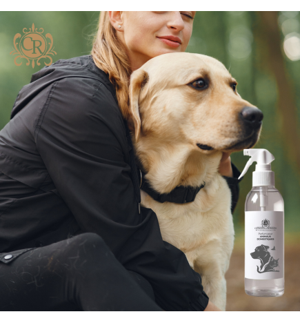 Doggy Cat Gold - Spray désinfectant pour animaux