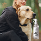 Doggy Cat Gold - Spray désinfectant pour animaux