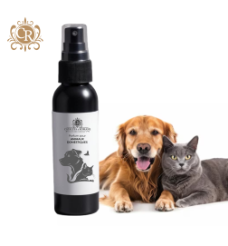 Reach Doggy parfums animaux - Cataleya et Romane univers parfums 00