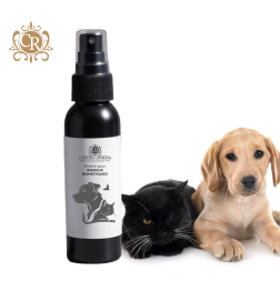 Doggy Cat Sport - Parfum pour animaux