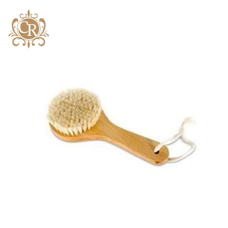 Brosse exfoliante corps