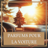 Voiture